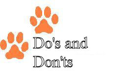 Home Grooming Do's and Don'ts